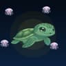 SchildkroeteQualle